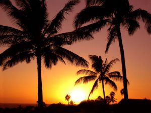 Férias de verão Férias de verão