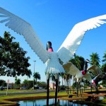 Foto do dia: Campo Grande – MS