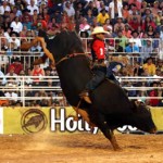 Foto do dia: Barretos – SP