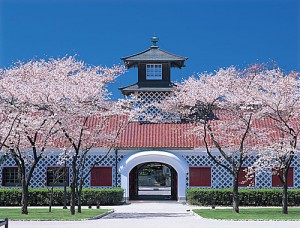 Niigata-Japão