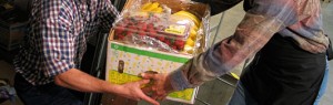 Doação de alimentos - Blog Action Day 2011