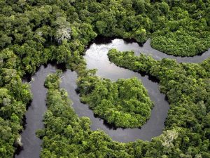 Amazônia Amazônia