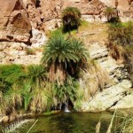 Foto do dia: Madaba – Jordânia