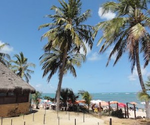 Aniversário de Maceió - 173 anos