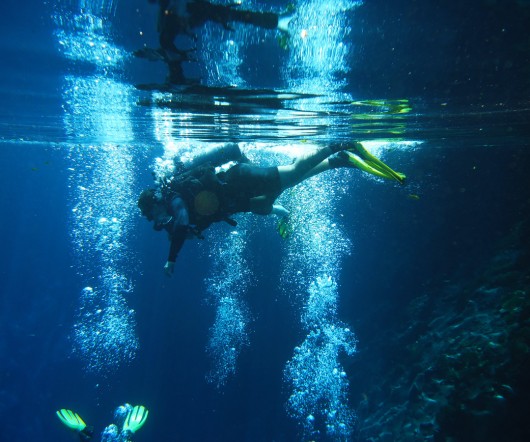 Mergulhador - Lagoa Misteriosa Mergulhador - Lagoa Misteriosa