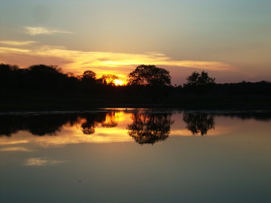 Pantanal brasileiro