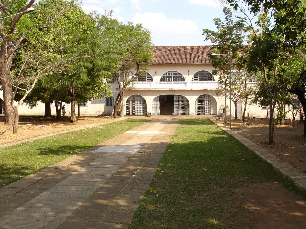 Foto do dia Porto Nacional Tocantins Vida de Turista