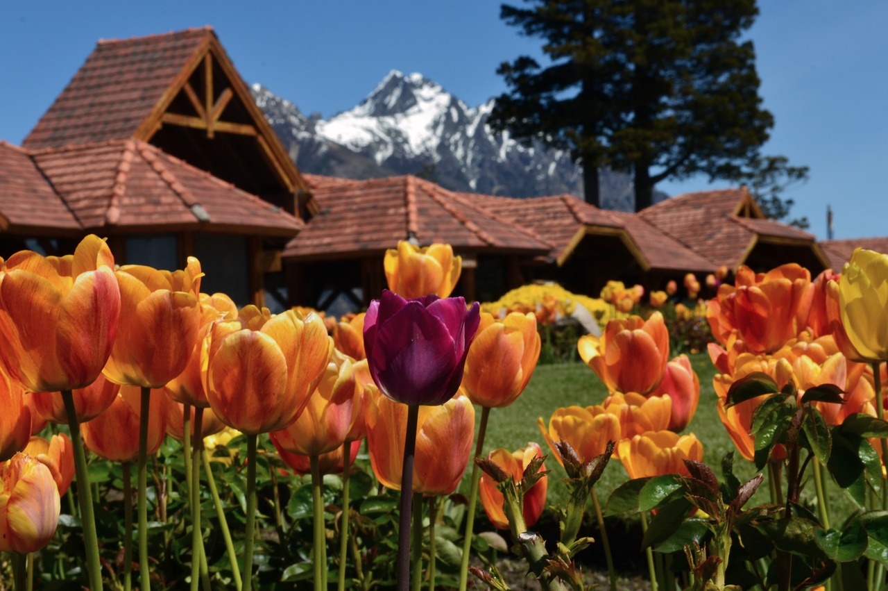 Llao Llao Resort é uma das indicações de hospedagem em Bariloche
