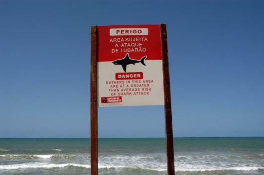 Placa com alerta sobre tubarões em Recife - PE