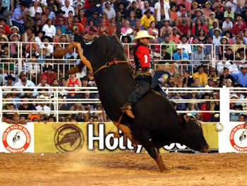 Barretos - SP Barretos - SP