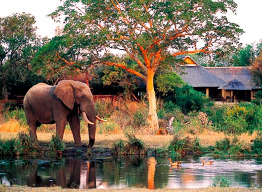 Nelspruit - África do Sul