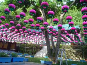 Daegu-Coréia do Sul