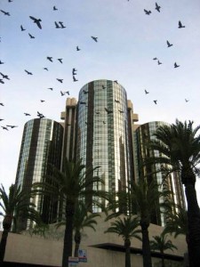 Los Angeles-EUA
