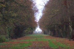 Celbridge-Irlanda