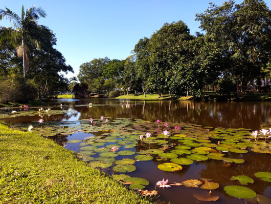 Jardim Botânico de Timbó