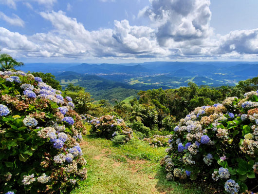 Nessa foto dá para entender porque o nome é Morro Azul