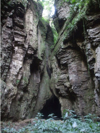 Salto das Andorinhas - Ascurra - SC