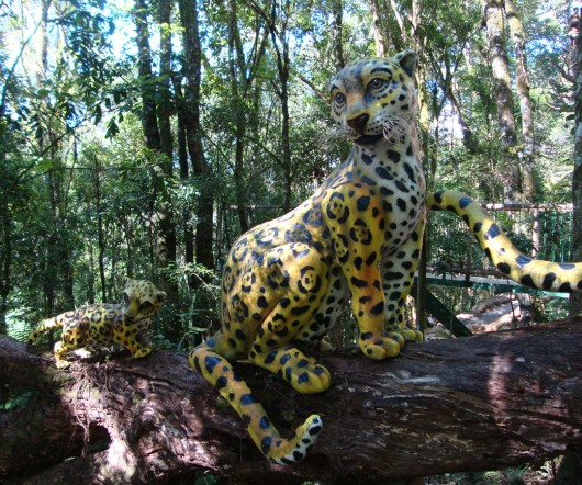 Bonecos - Parque Terra Mágica Florybal - Canela - RS