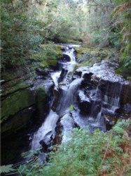 Cachoeira Begalke - Benedito Novo - SC