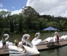 Pedalinhos - Lago Negro - Gramado - RS