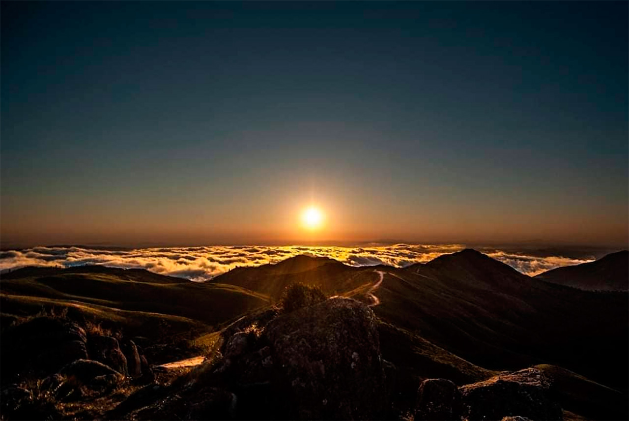 Amanhecer em um dia de neblina nos Campos do Quiriri (Photo by @joinvillemaisbonita)