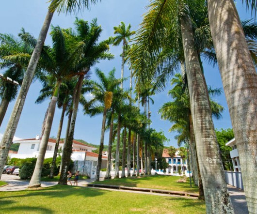Rua das Palmeiras - Joinville - SC