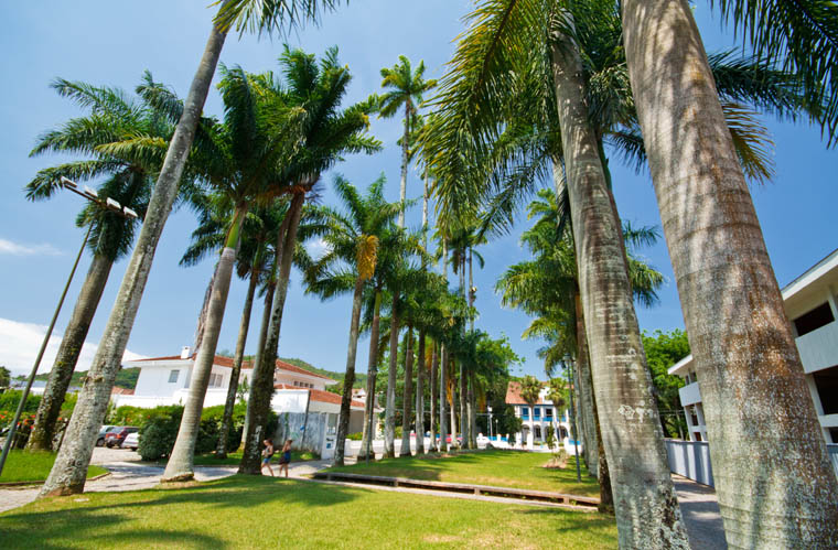 Joinville  SC  A cidade das flores e cidade dos príncipes