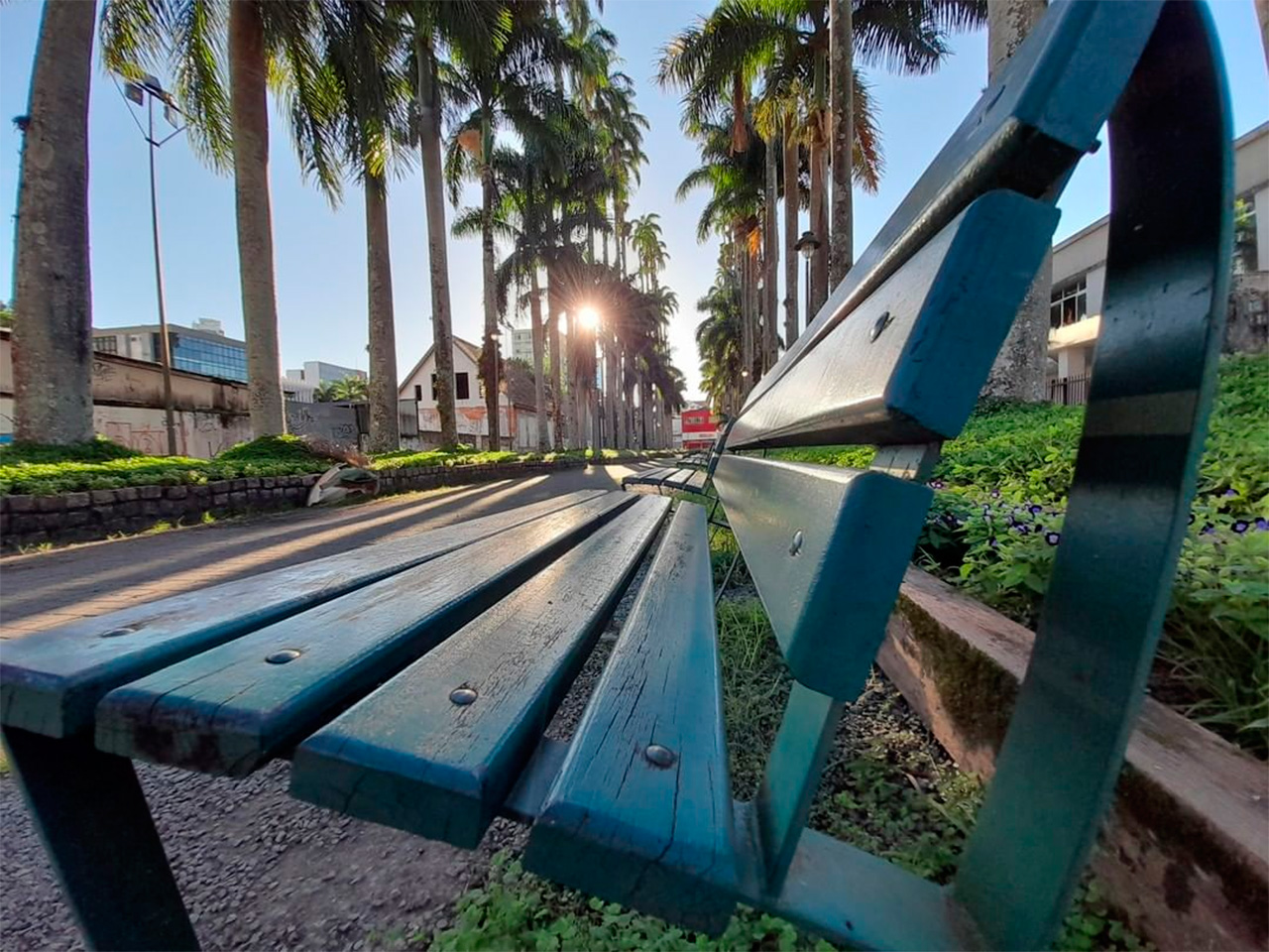 Encantos da Rua das Palmeiras em Joinville (Photo by Amcle Lima)