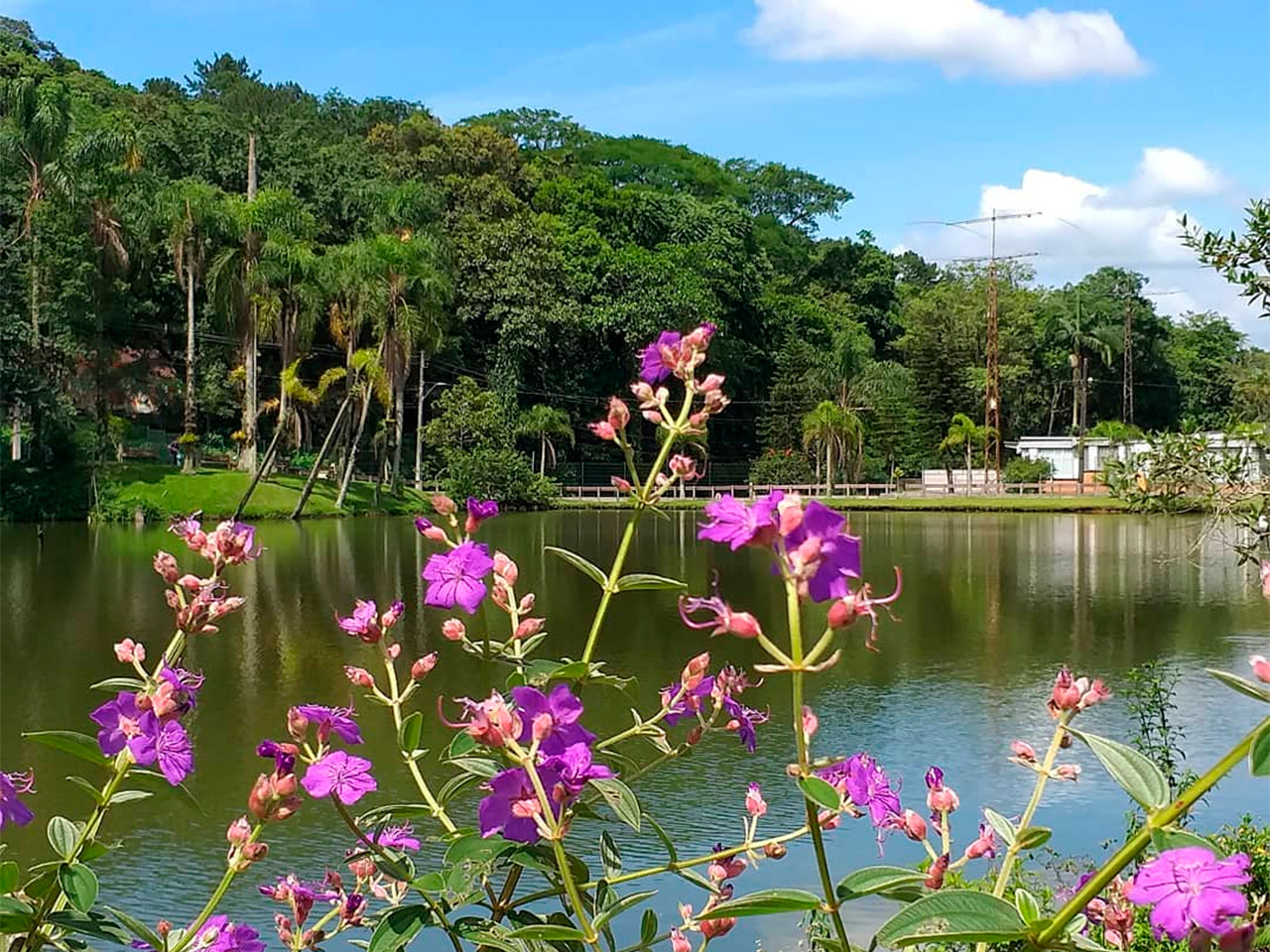 Esse é o Zoobotânico de Joinville (Photo by Jana Cardoso)