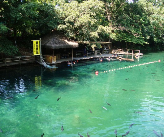 Estande de mergulho - Hot Park