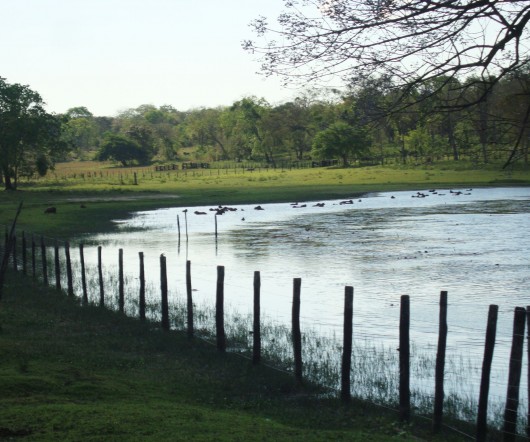 Viagem a Bonito e Pantanal - MS