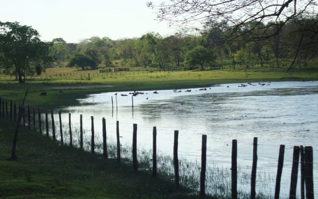 Viagem a Bonito e Pantanal - MS