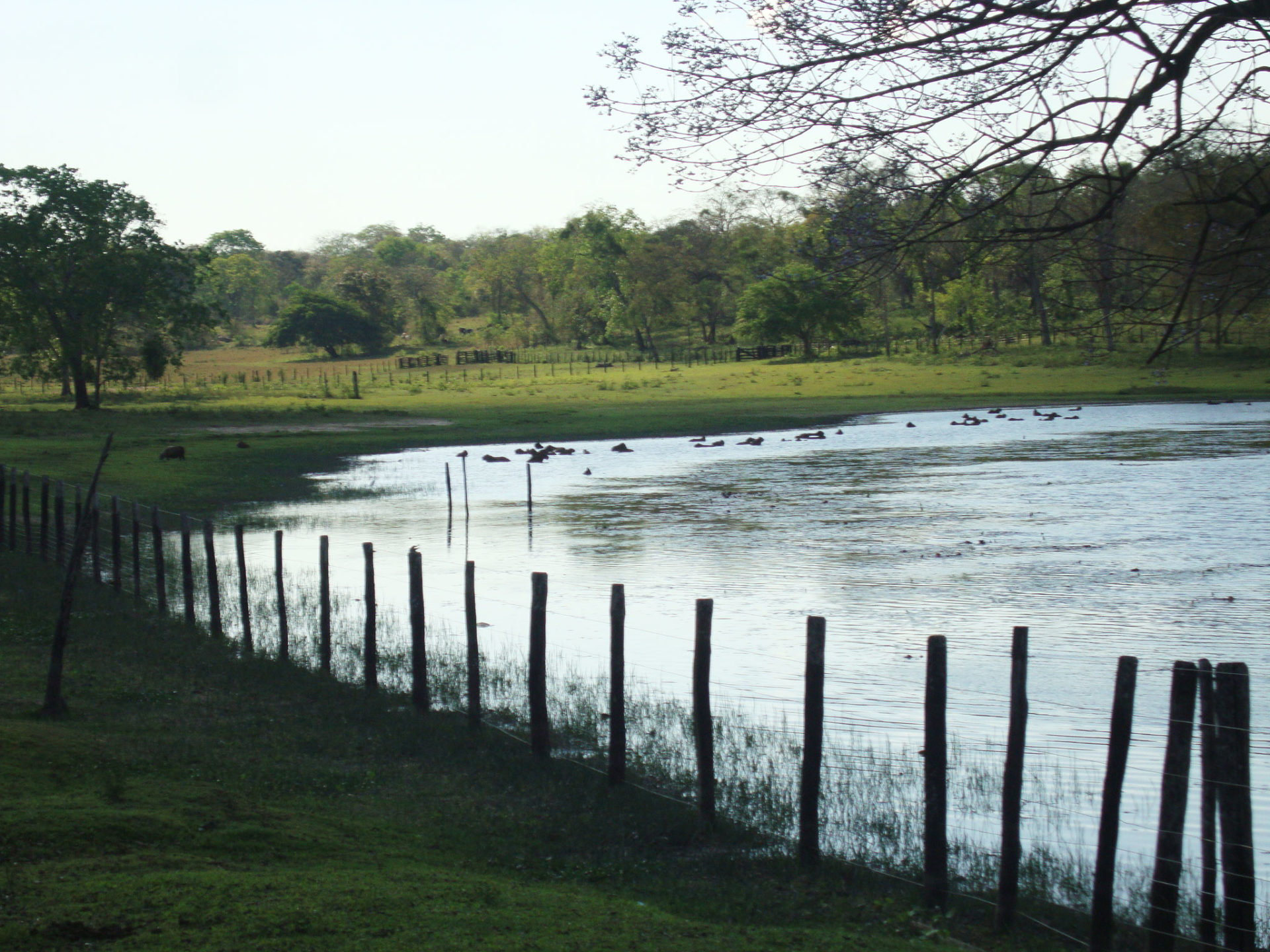 Viagem a Bonito e Pantanal - MS