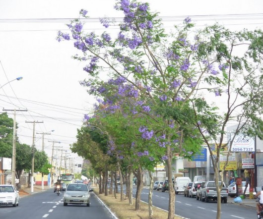 Aparecida de Goiânia - Goiás