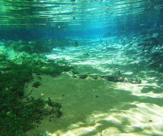 Aquário natural - Rio da Prata