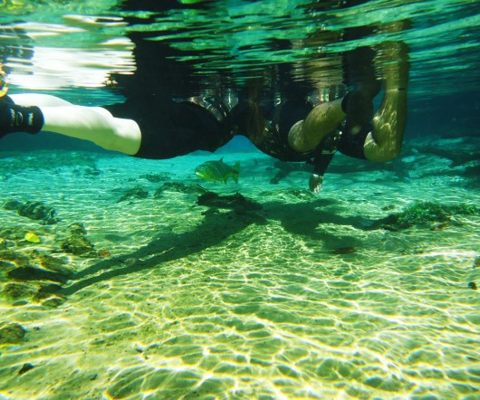 Flutuação no Rio da Prata