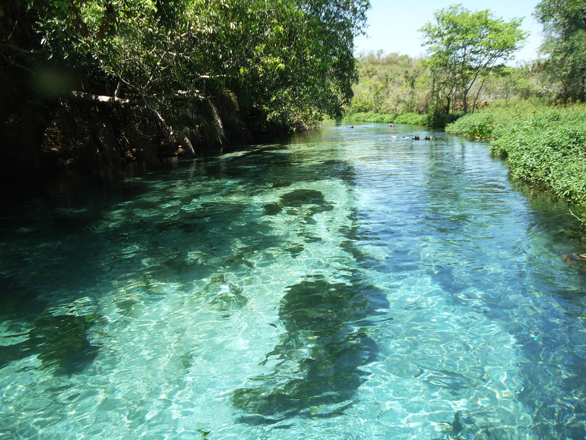 O Rio Sucuri faz parte do Parque Estadual da Serra da Bodoquena