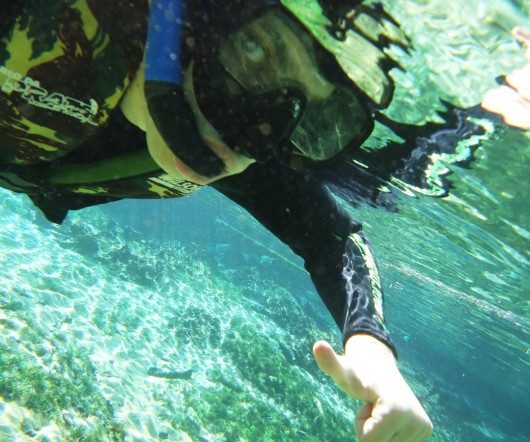 Snorkel - Rio da Prata