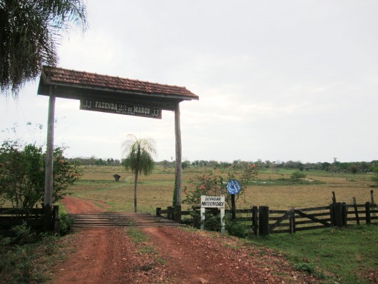 Fazenda 23 de Março - Pantanal - MS