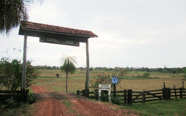 Fazenda 23 de Março - Pantanal - MS