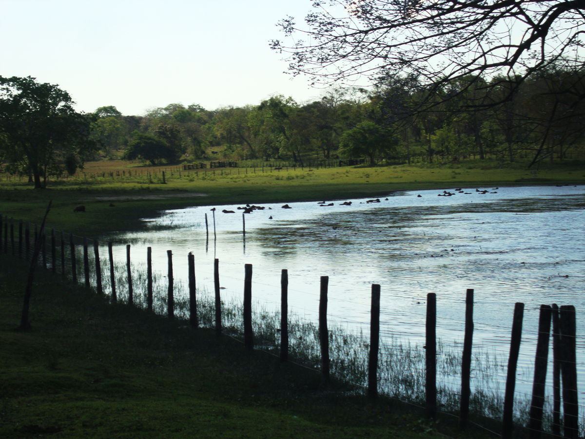 Lago no Pantanal
