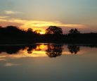 Pantanal brasileiro