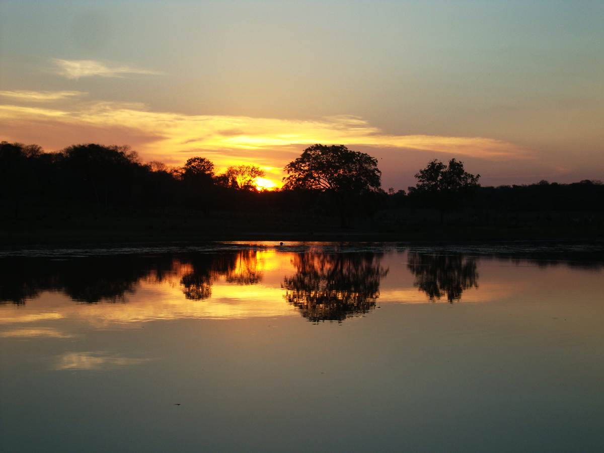 O Pantanal brasileiro é um destino perfeito para uma viagem no Brasil