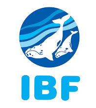 IBF - Instituto Baleia Franca