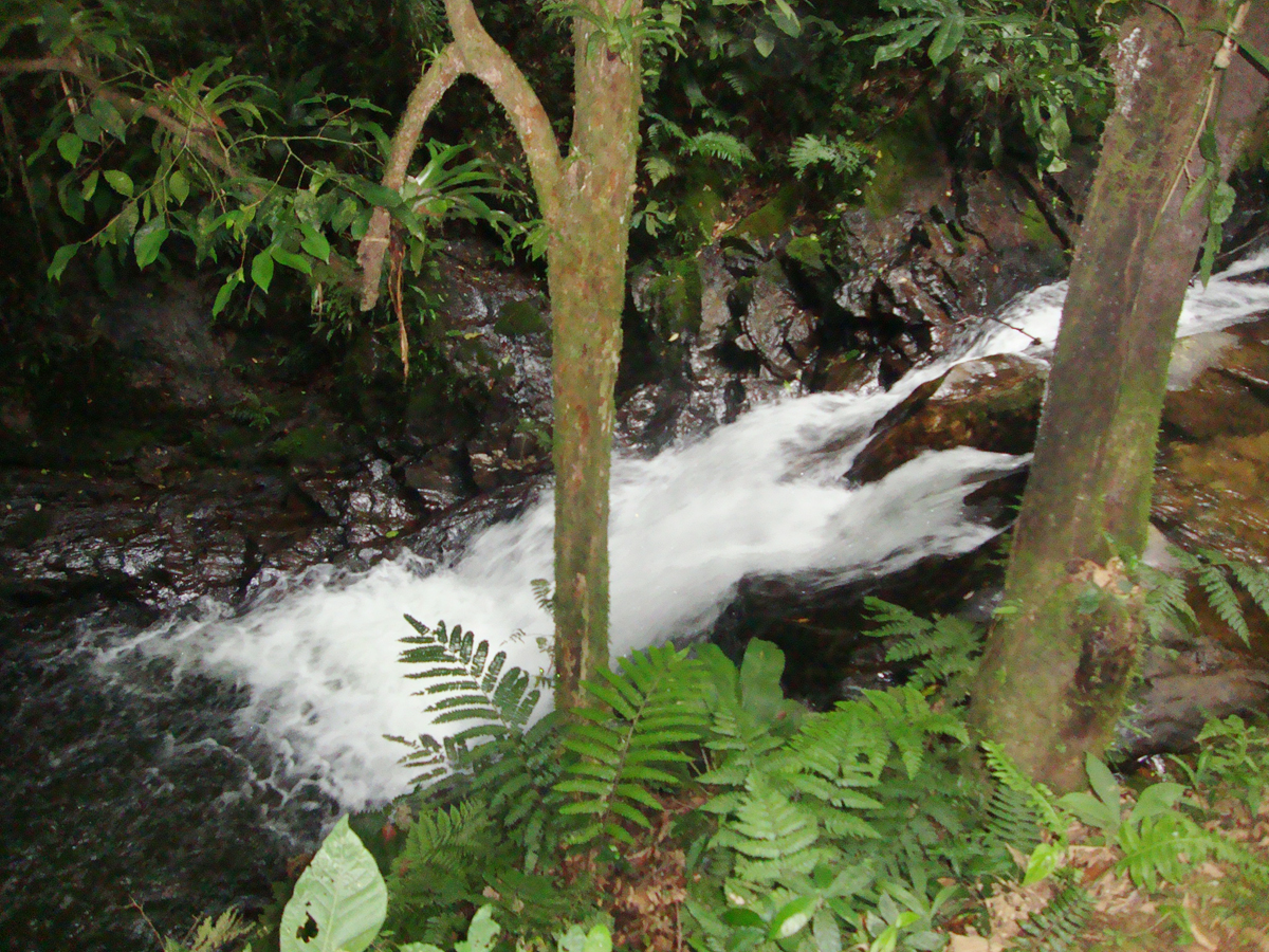 Cachoeira - Botuverá - SC