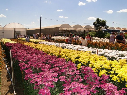 Expoflora - Holambra - SP