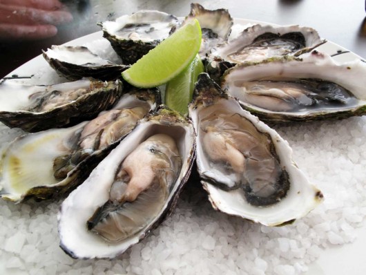 Frutos do mar em Bombinhas