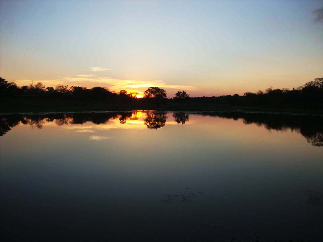O Pantanal é outro lugar que merece ser visitado no outono 2025