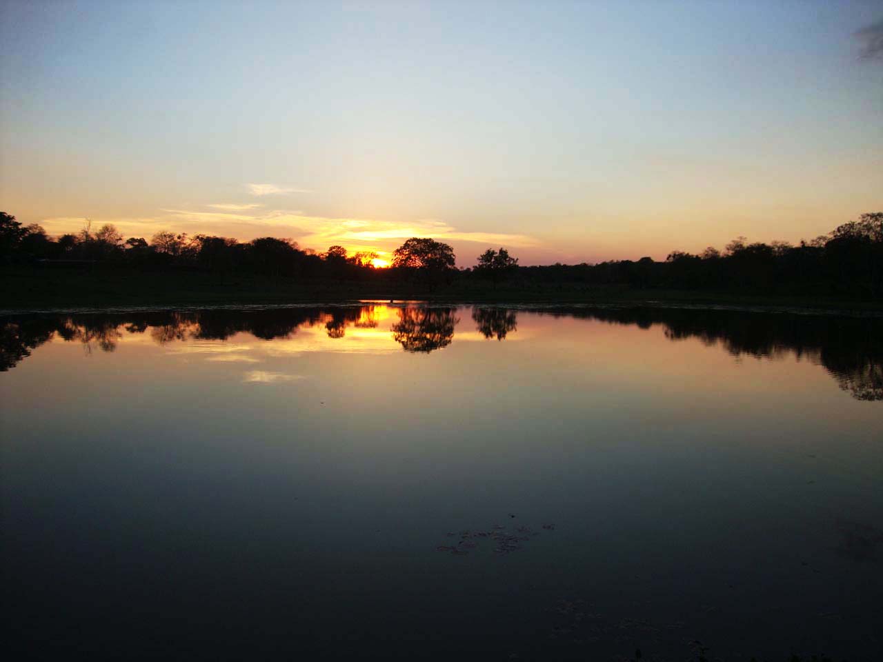 O Pantanal é outro lugar que merece ser visitado no outono 2024