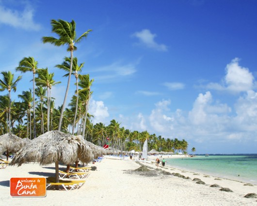 Welcome to Punta Cana Zarpo